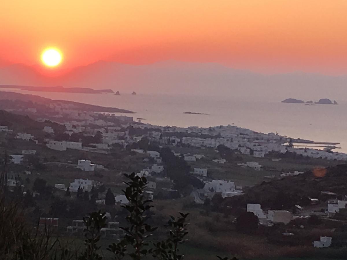 Paros Villas Nereids Exteriér fotografie